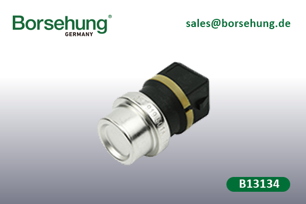B13134 water temperature sensing plug- auto parts - Borsehung