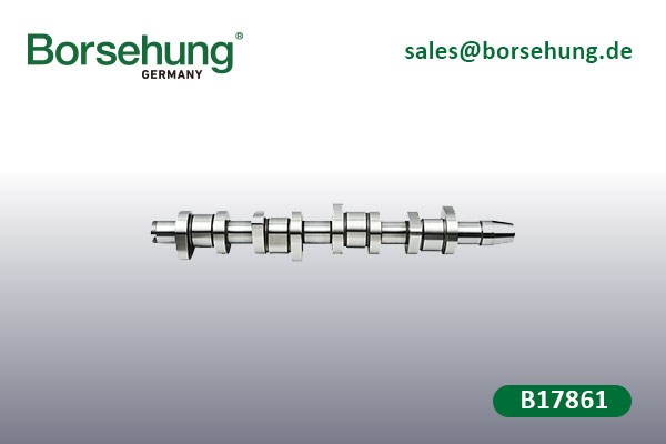 What are reasons for abnormal sound of an engine camshaft?