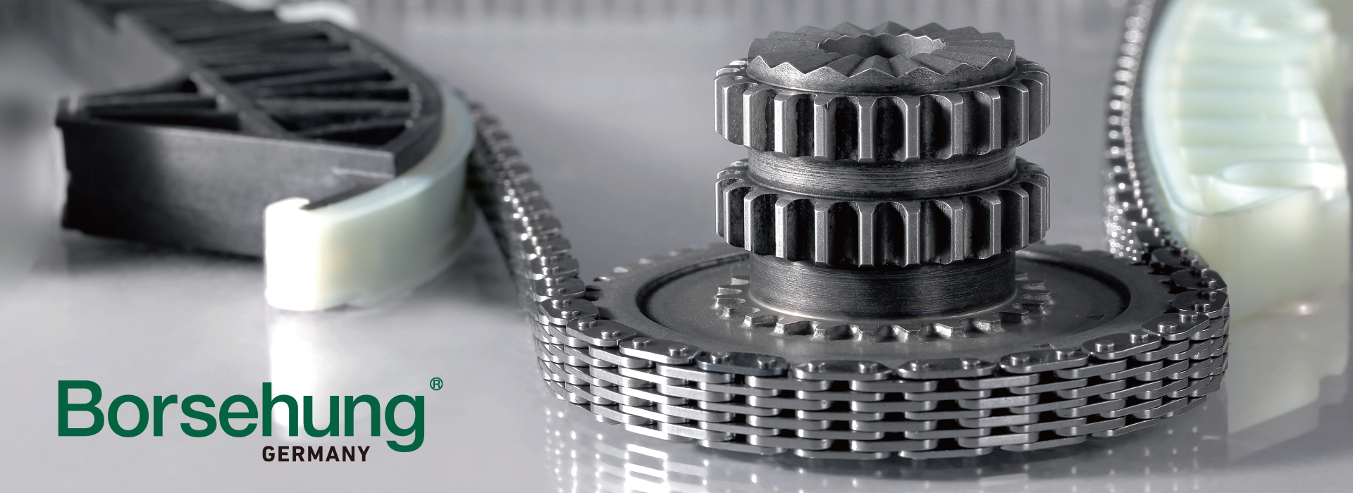 Borsehung, professional auto parts supplier