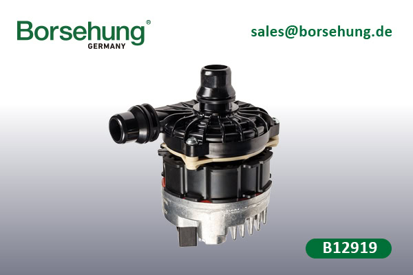 auxiliary electronic water pumps